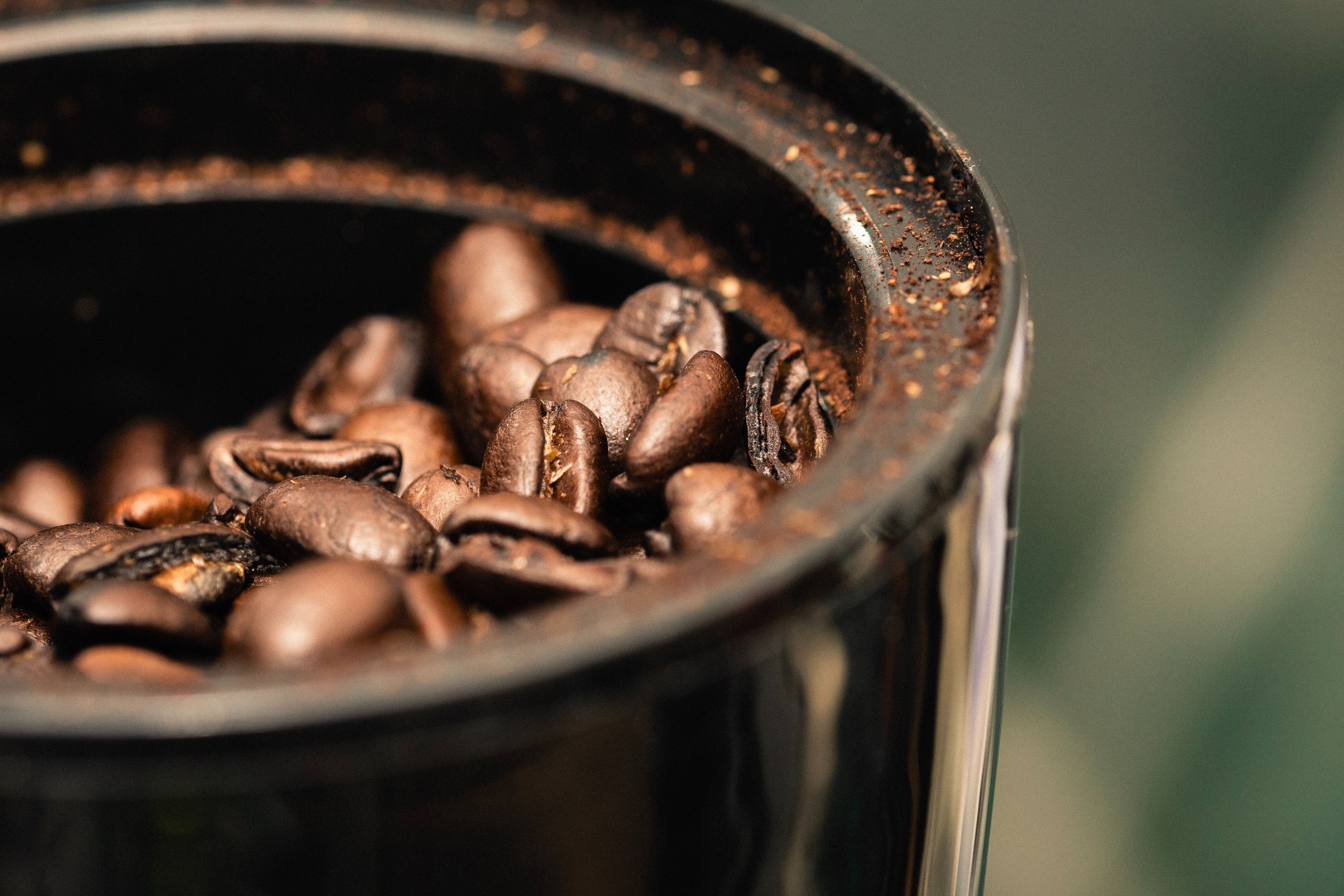 Close-up shot of roasted coffee bean at the top of a black grinder