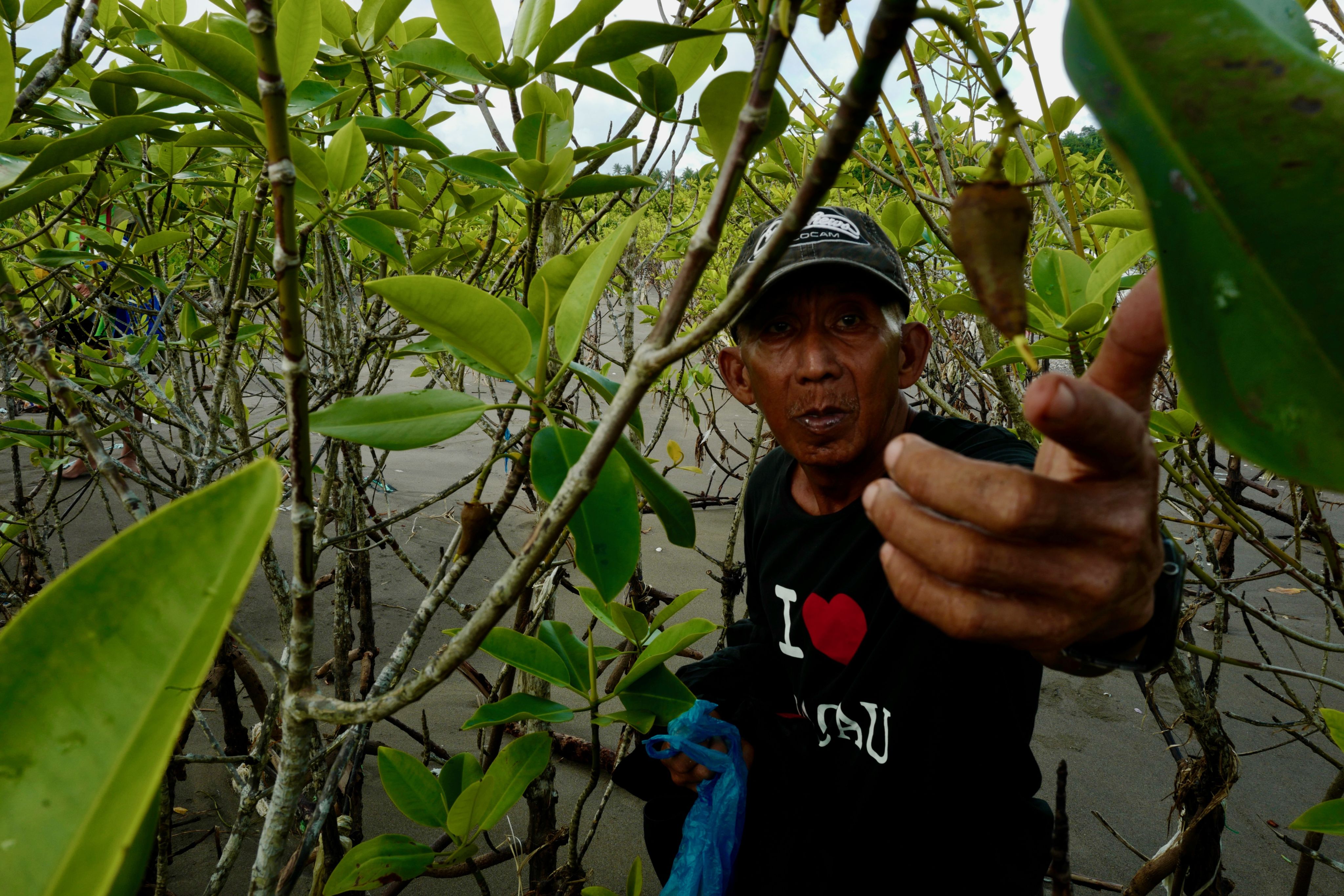 Ramon Sta. Ana, “caretaker” of the mangrove forest