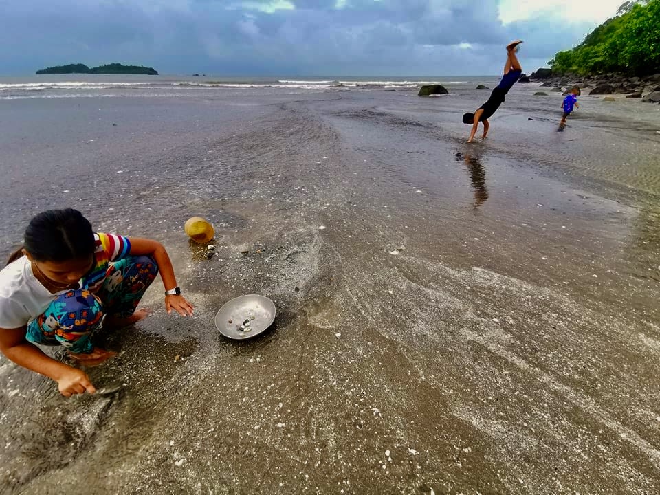 Children play and collect shells