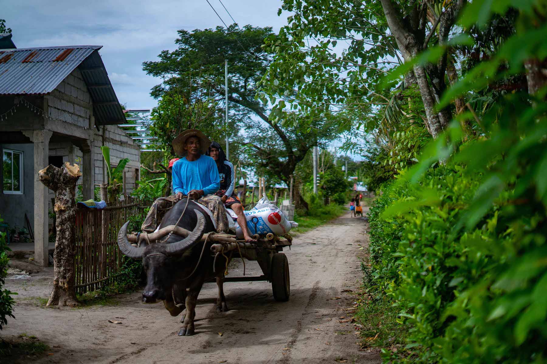 Farmers ride a cart in Binyayan