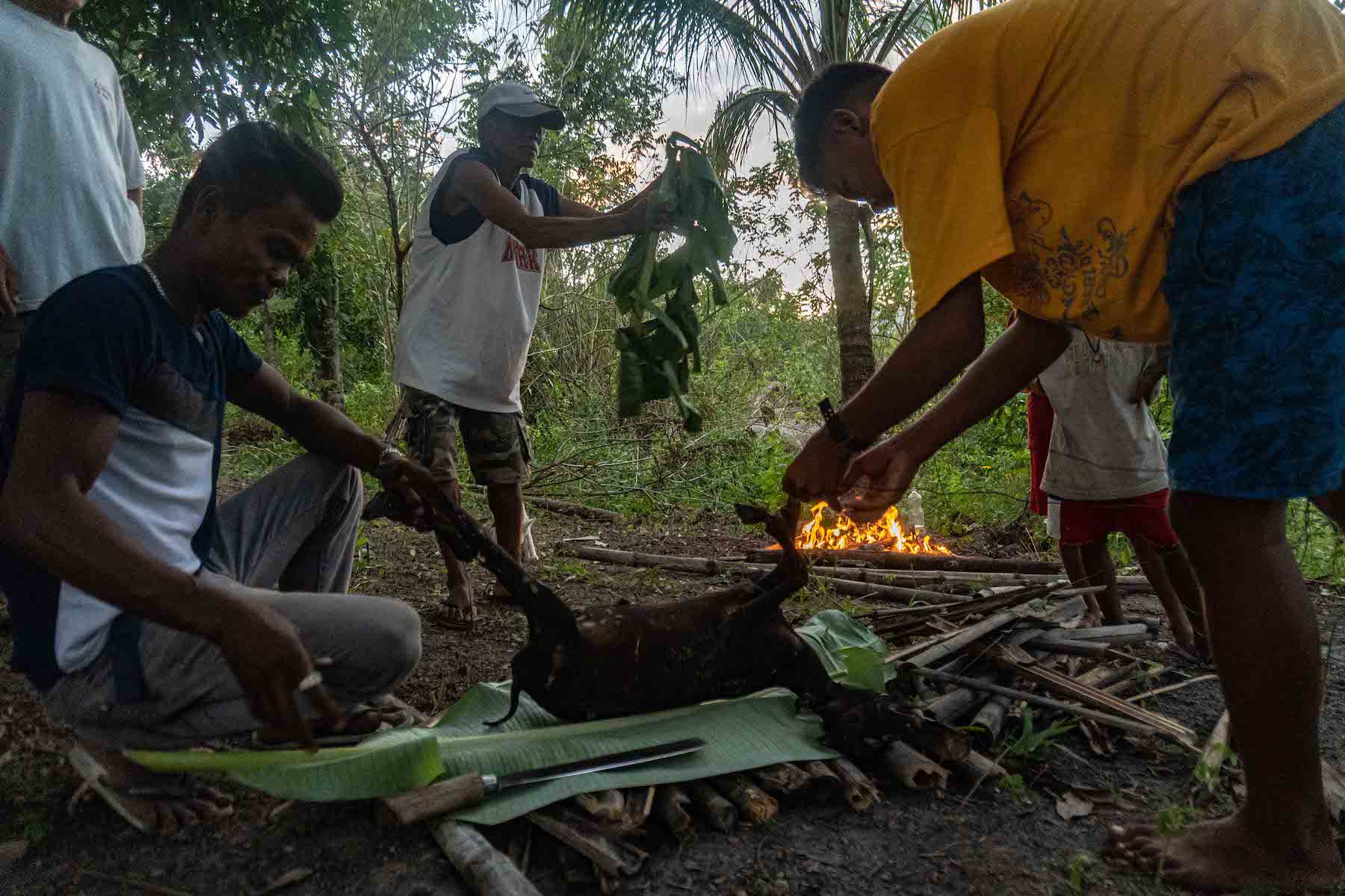 Aetas prepare to roast a lamb for a celebration