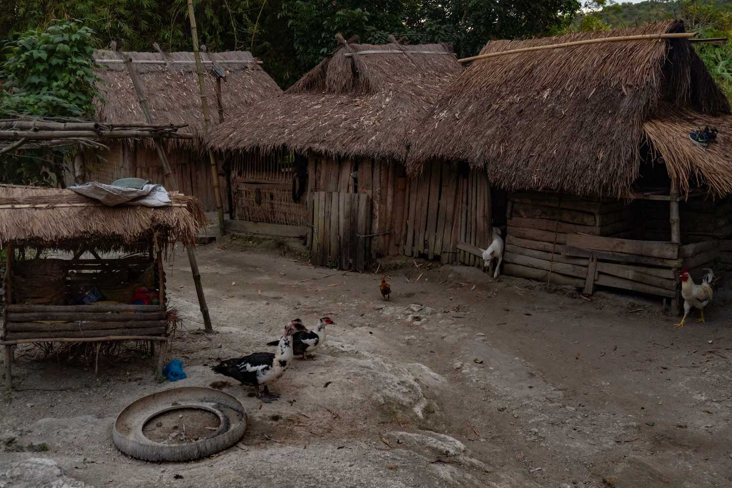 A dog emerges from a hut in Sapang Kawayan