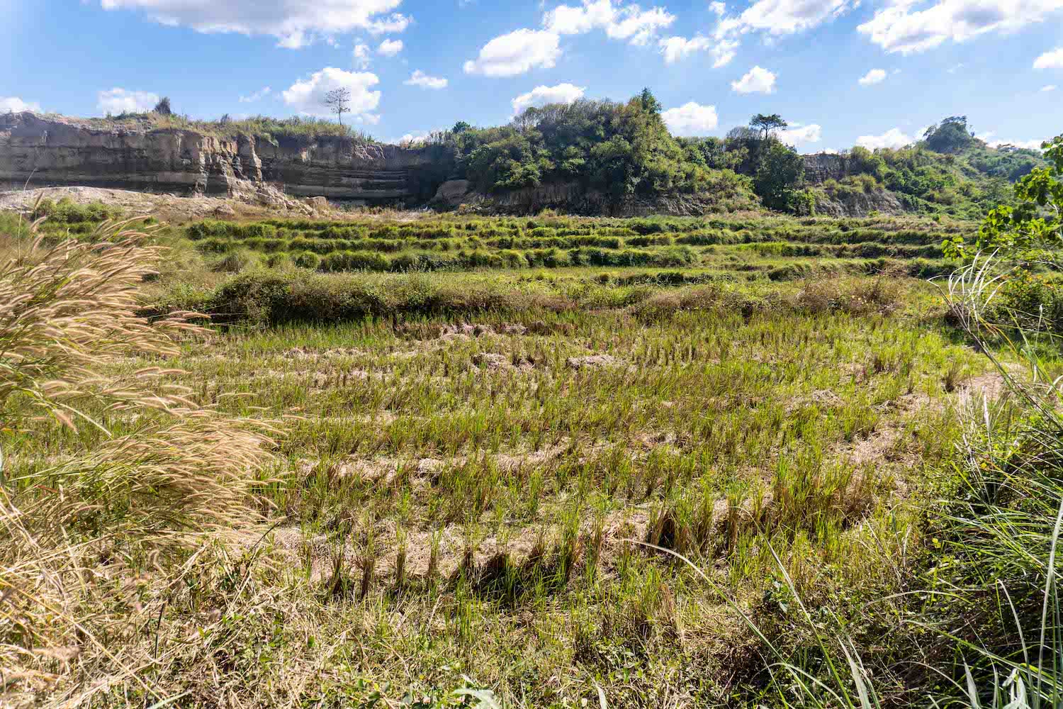A portion of a hill that has been shaved inside the New Clark City complex