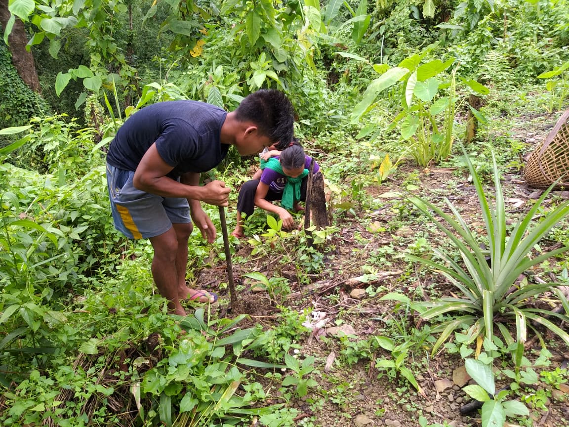 Indian woman and her husband working on their land