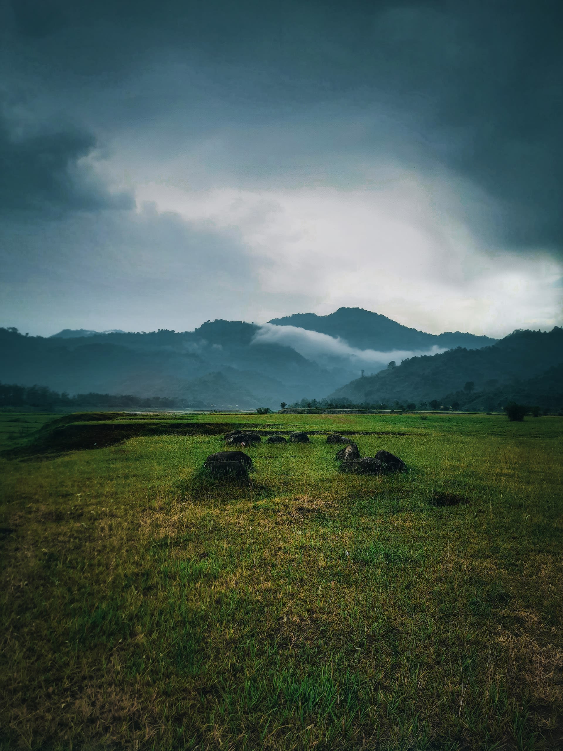 Green field with cloudy hills in the background in Assam, India