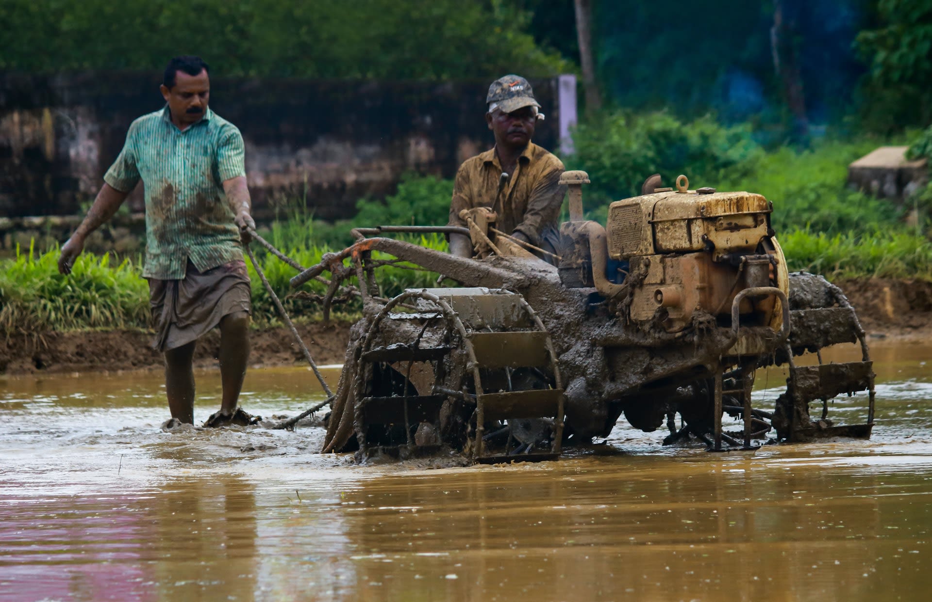 Indian rice farmers cultivating their paddy field on a tractor